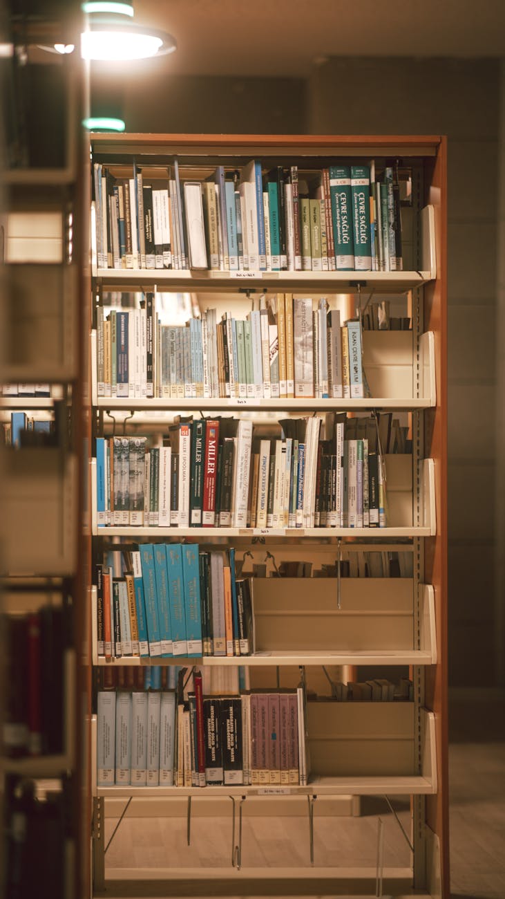 a bookshelf stocked with books
