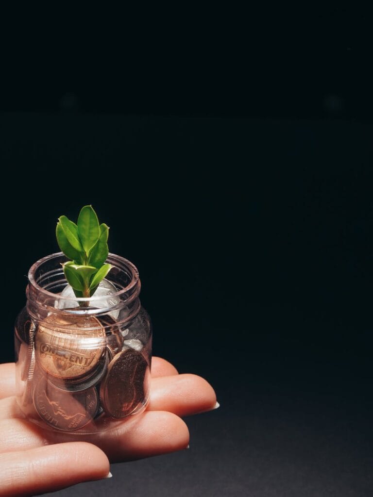 person holding clear glass jar with green plant
