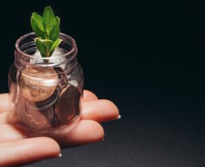 person holding clear glass jar with green plant